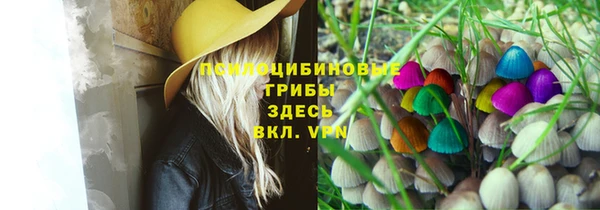 прущая мука Остров