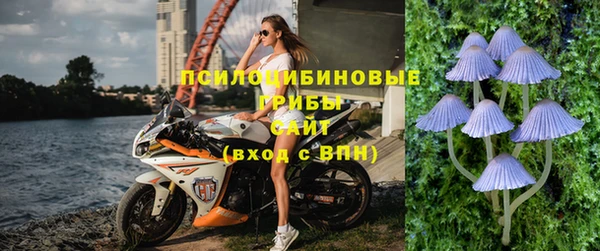 винт Осинники