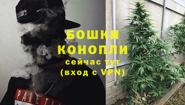 сатива Нязепетровск