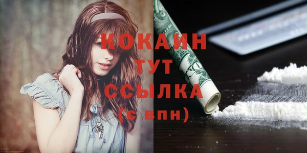 винт Осинники