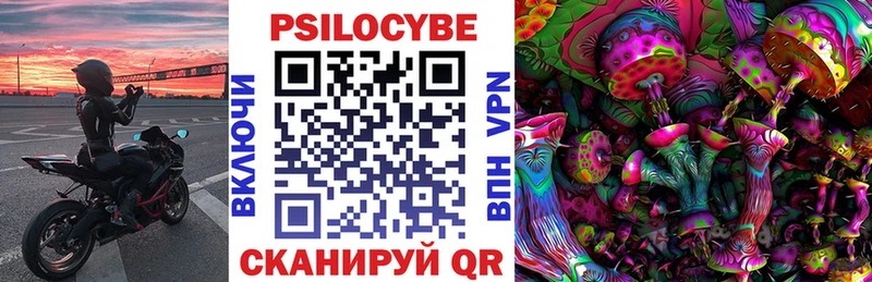 где купить наркоту Багратионовск Галлюциногенные грибы Psilocybine cubensis