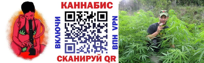 Шишки марихуана SATIVA & INDICA  omg   Багратионовск 